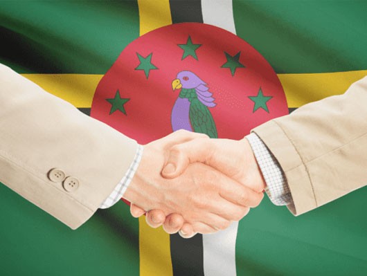 Dominica Investment Options